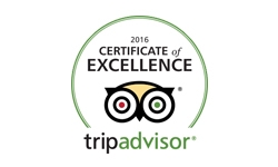 trip advisor certificate excellence